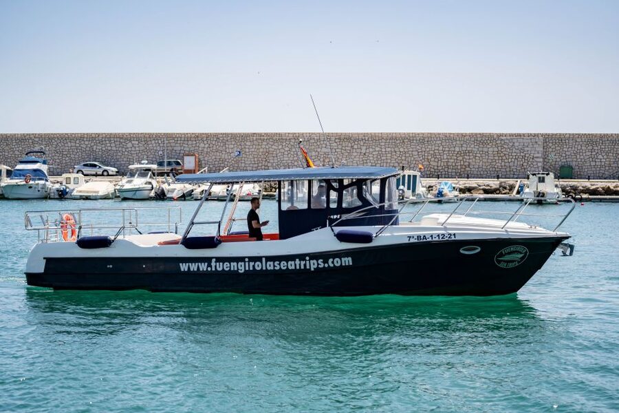 Fuengirola: Luxury Private Boat Rental With Skipper - Dolphins and the reality of sea sightings