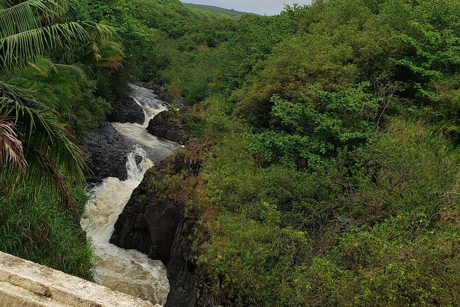 Full-Circle "Reverse" - Luxury Road to Hana Tour from South Maui - Wai’anapanapa State Park: Black Sand Beach Time (Weather Permitting)