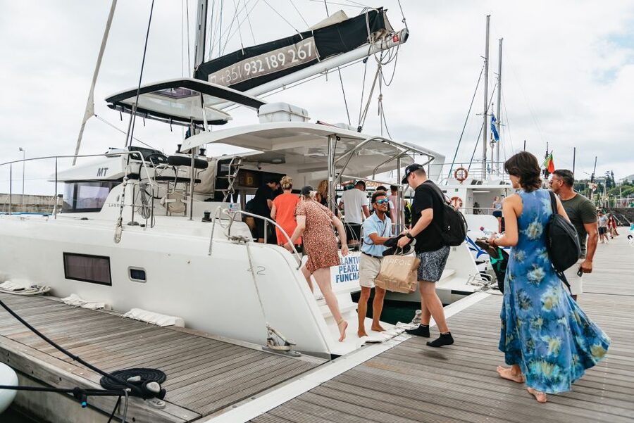 Funchal Bay: Dolphin & Whale Watch Luxury Catamaran Cruise - The “secret stop” at sea: your guided marine-life window