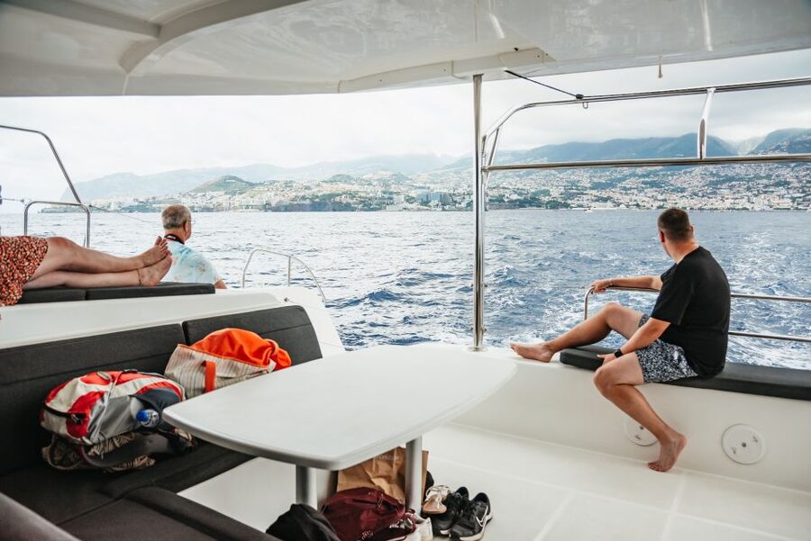 Funchal Bay: Dolphin & Whale Watch Luxury Catamaran Cruise - The dolphin and whale search: how it works in Funchal Bay