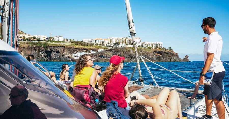 Funchal: Dolphin and Whale Watching by Luxury Catamaran - Key Points You’ll Care About