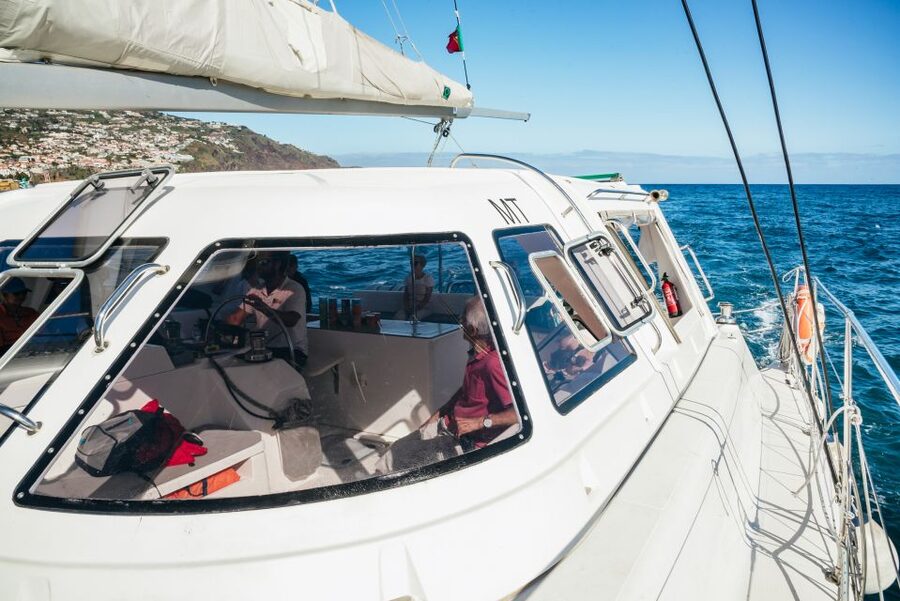 Funchal: Dolphin and Whale Watching by Luxury Catamaran - From Funchal Marina to Cabo Girão: The Route That Makes This Work