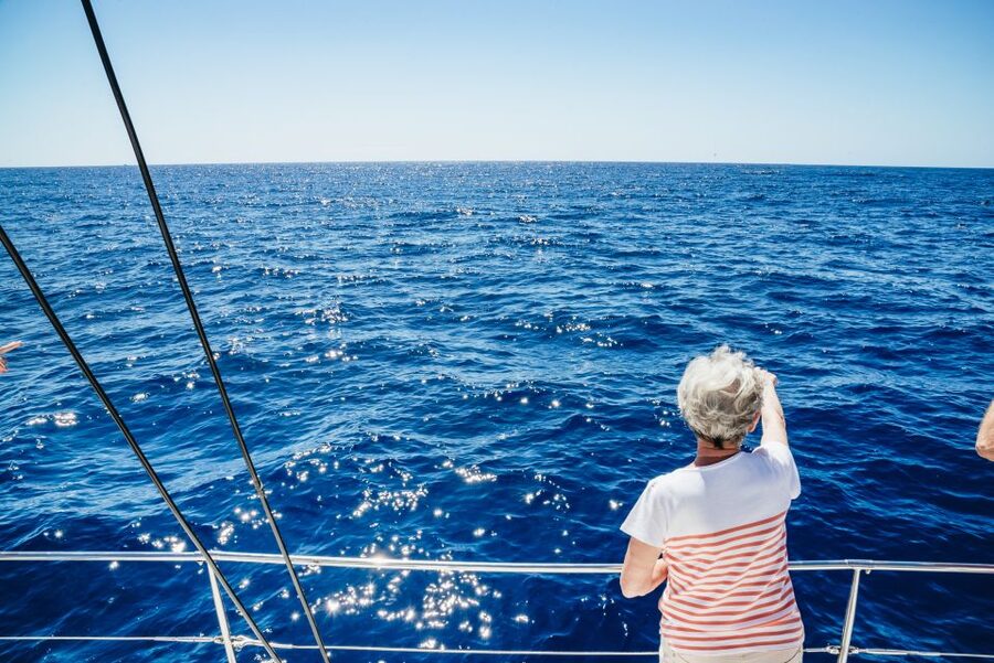 Funchal: Dolphin and Whale Watching by Luxury Catamaran - Wildlife Watching in Madeira: What You Can Realistically Expect