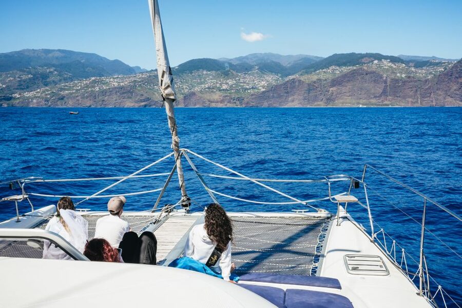 Funchal: Dolphin and Whale Watching by Luxury Catamaran - Sailing the Coast Back: Views Without the Stress