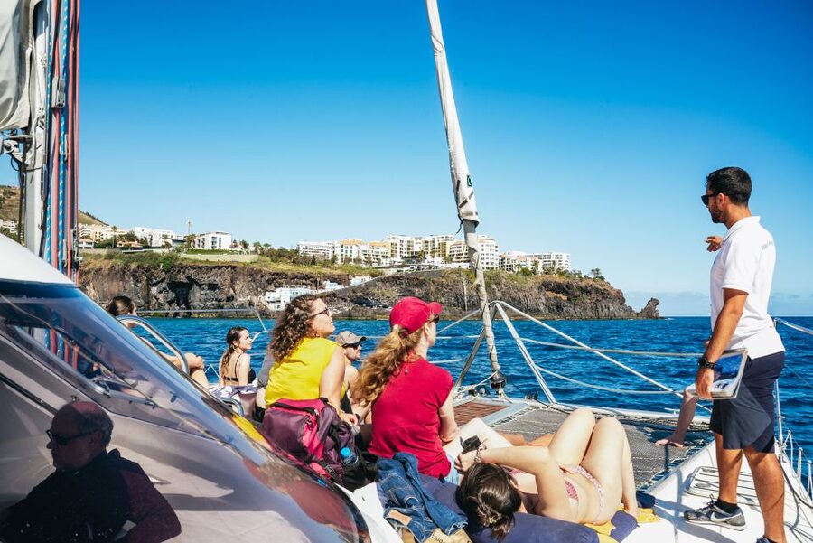 Funchal: Dolphin and Whale Watching by Luxury Catamaran - Price and Value: What You’re Actually Buying for About $47