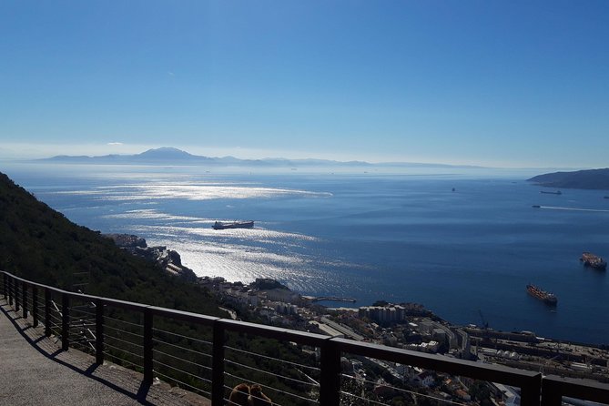 Gibraltar Sightseeing: Premium Rock Tour / Shore Excursion (Private) - St. Michael’s Cave and the Barbary Macaque Feeding Station: The Big Animal Moment