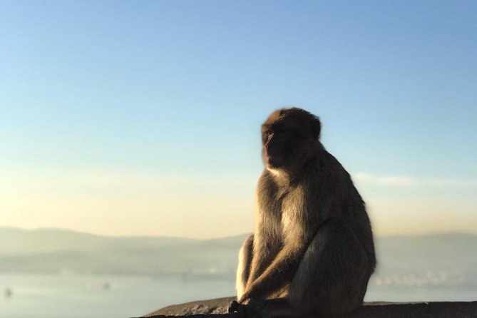 Gibraltar Sightseeing: Premium Rock Tour / Shore Excursion (Private) - WWII Tunnels and the Moorish Castle Complex: Two Eras, One Rock