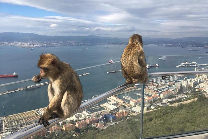 Gibraltar Sightseeing: Premium Rock Tour / Shore Excursion (Private) - Price and Value: Is $694.90 Per Person Worth It?