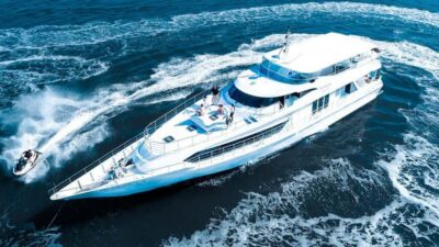 Gold Coast: Luxury Whale Watching Tour - The 150-minute whale watch flow: morning and afternoon timing that keeps you on track