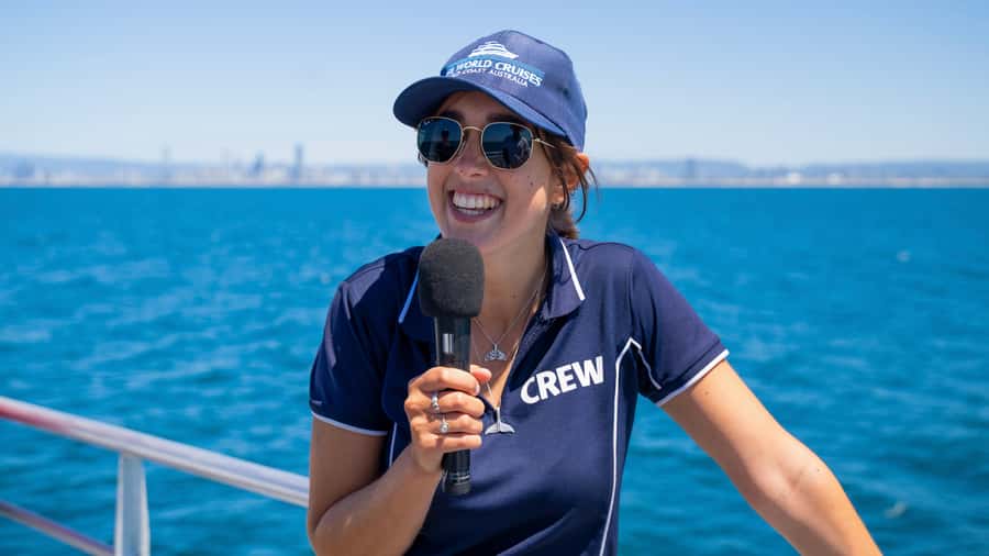 Gold Coast: Premium Whale Watching Cruise - Comfort tips that will save your cruise day