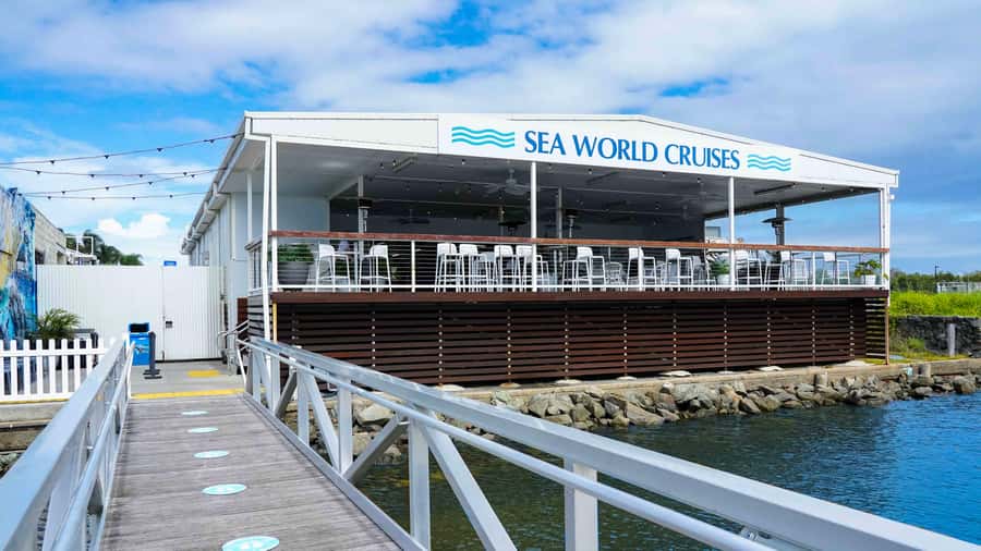 Gold Coast: Premium Whale Watching Cruise - Value check: $63 and what you’re really paying for