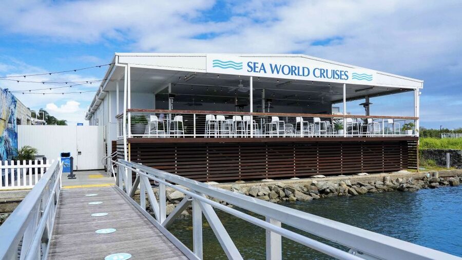 Gold Coast: Premium Whale Watching Cruise - Who should book this cruise, and who should skip it