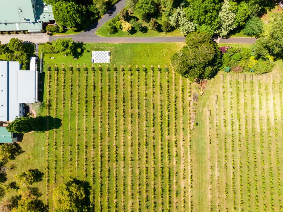 Gold Coast: Premium Wine Tour with Gourmet Lunch - Winery Stop #1: your first guided tasting, 45 minutes