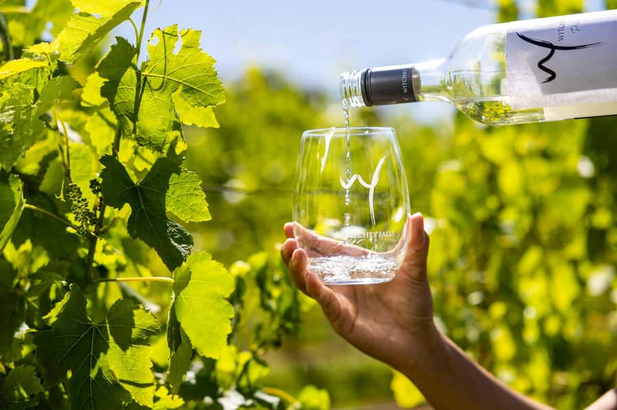 Gold Coast: Premium Wine Tour with Gourmet Lunch - Tamborine Mountain Distillery: spirits tasting plus time to look around