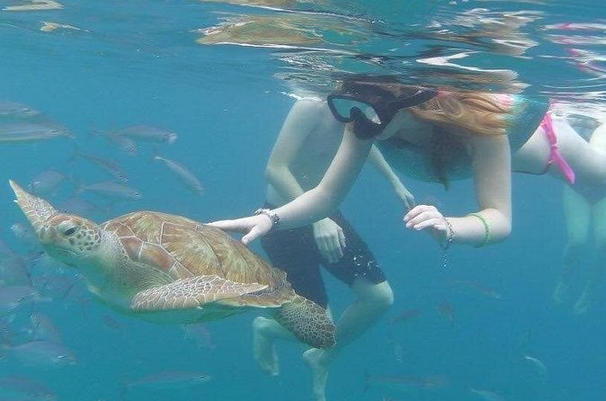 Good Times Too Premium Catamaran Lunch Cruise - The Real Itinerary Vibe: Sail Out, Snorkel Early, Eat Well