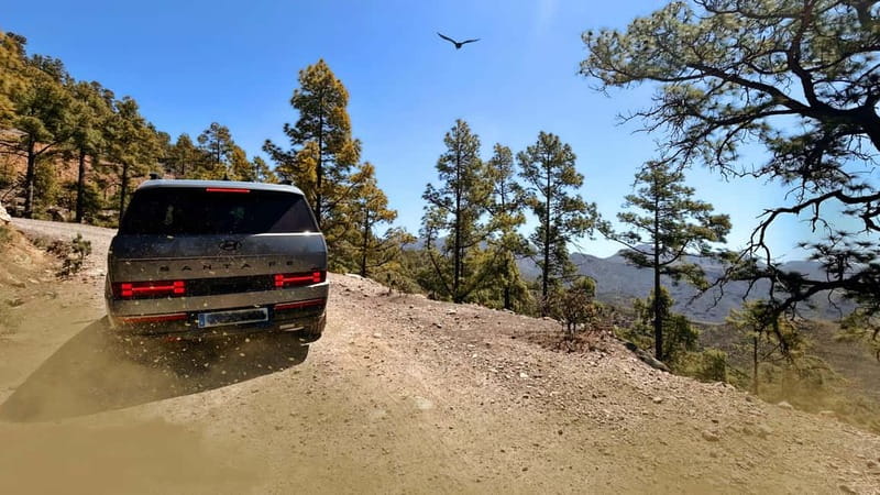 Gran Canaria: Premium Safari 4x4 Tour with Local Guide - Fataga and the Valley of the Thousand Palms: where lunch turns into a break