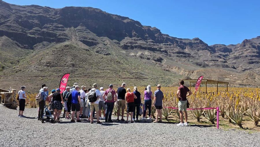 Gran Canaria: Premium Safari 4x4 Tour with Local Guide - Eco-luxury and KM-0: what those words mean in real life