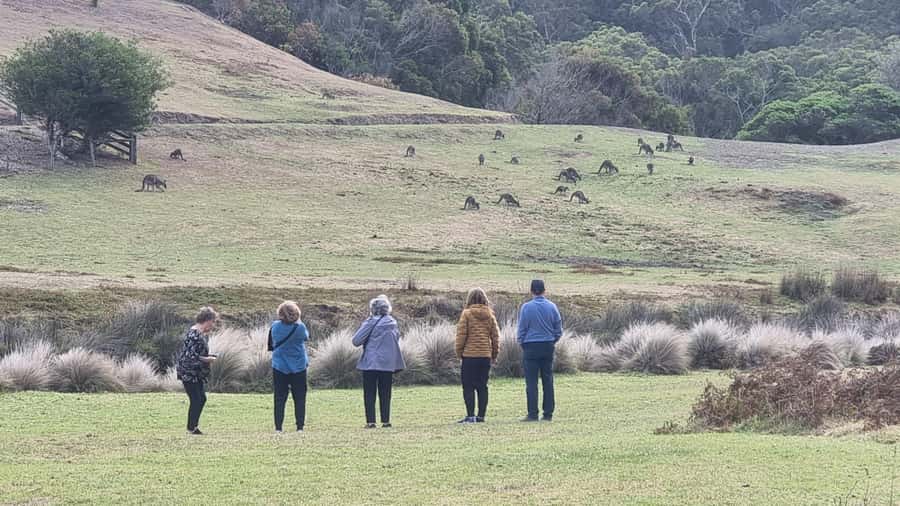 Great Ocean Road Lux Tour Max 11 Hotel Pickup - The day’s rhythm: Colac quick reset, then the coast hits hard