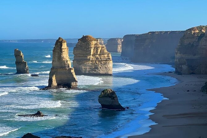 Great Ocean Road Private Tour In Luxury Vehicle.Customised Option - Great Otway National Park: Mait’s Rest and a real forest reset