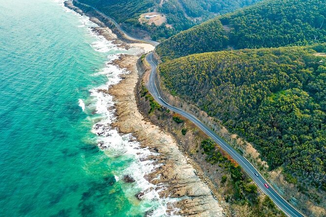 Great Ocean Road Private Tour In Luxury Vehicle.Customised Option - Colac morning tea: a countryside palate reset