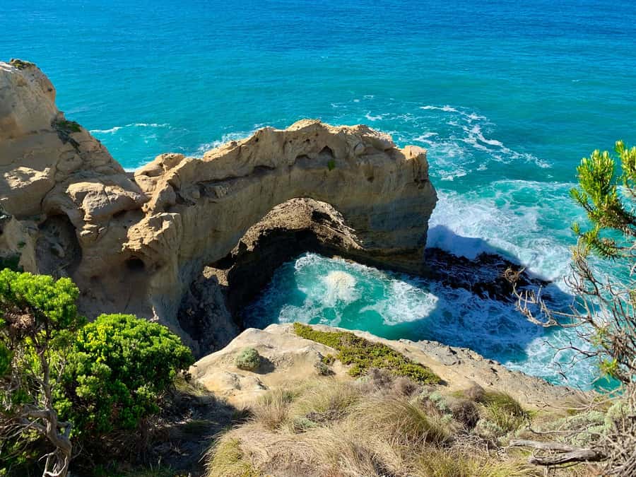 Great Ocean Road Reverse Tour London Bridge Wildlife - Key highlights worth aiming for