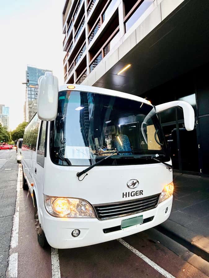 Great Ocean Road Reverse Tour London Bridge Wildlife - Coaches, group sizes, and the three tour options