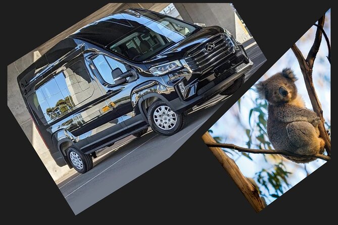 Great Ocean Road Tour Reverse –SML GRP-DLUX Mini Bus Hotel Pickup - Great Ocean Road Viewpoint Time, Apollo Bay Lunch, and Kennett River Wildlife
