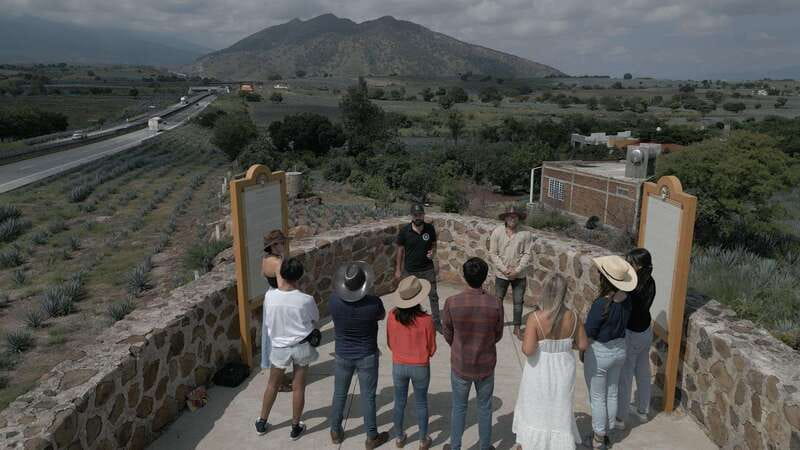 Guadalajara: Premium Tequila Tour with Tastings and Pairings - Key highlights to look for