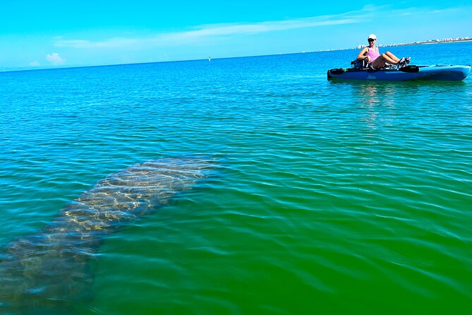 Guided Hobie Kayak EcoTour: Premium Eco Experience Bonita Springs - Key Highlights You’ll Feel in the Moment