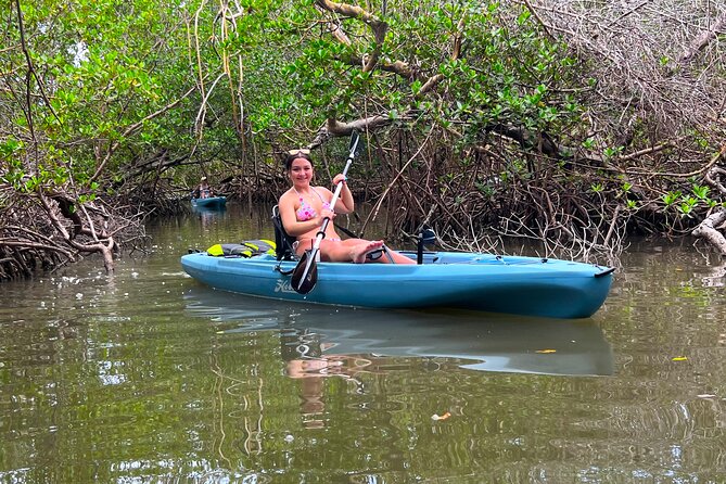 Guided Hobie Kayak EcoTour: Premium Eco Experience Bonita Springs - The Shelling Beach Stop: A Real Why-Bother-Leave-Home Moment