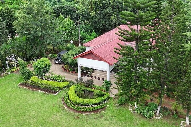 Guwahati Tea Garden Tour with Lunch & Hi Tea (Premium Experience) - Key highlights at Amchong Tea Estate
