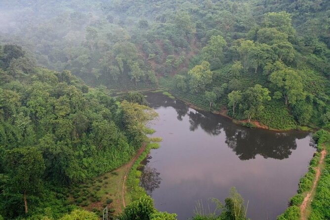 Guwahati Tea Garden Tour with Lunch & Hi Tea (Premium Experience) - Getting there from Guwahati: 4x4 ride, easy logistics
