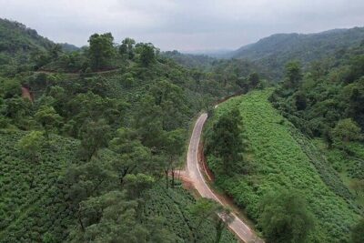 Guwahati Tea Garden Tour with Lunch & Hi Tea (Premium Experience) - Welcome at the directors’ bungalow: start with the right context