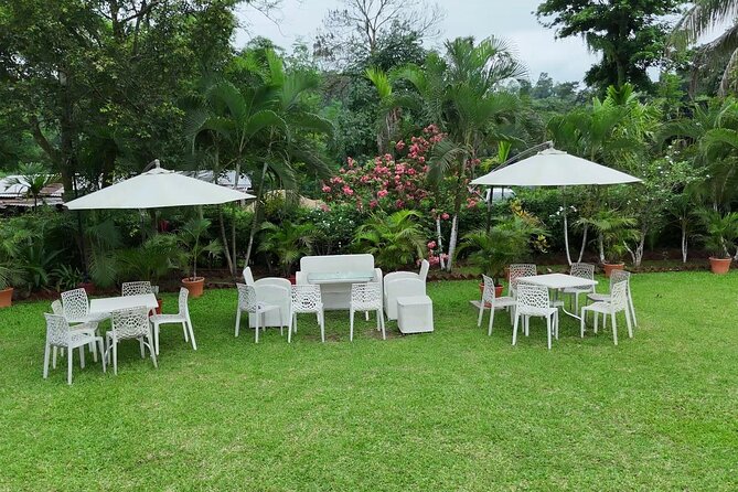Guwahati Tea Garden Tour with Lunch & Hi Tea (Premium Experience) - What’s included (and what isn’t): plan your expectations