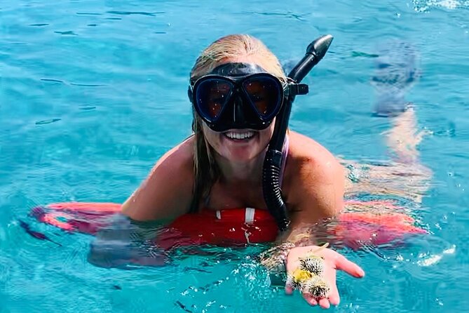 Half Day Luxury Catamaran Turtle Snorkel And Beach - Key things I’d circle before you book