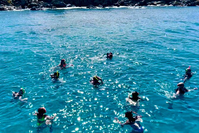Half Day Luxury Catamaran Turtle Snorkel And Beach - Luxury catamaran, but with a real snorkel mission