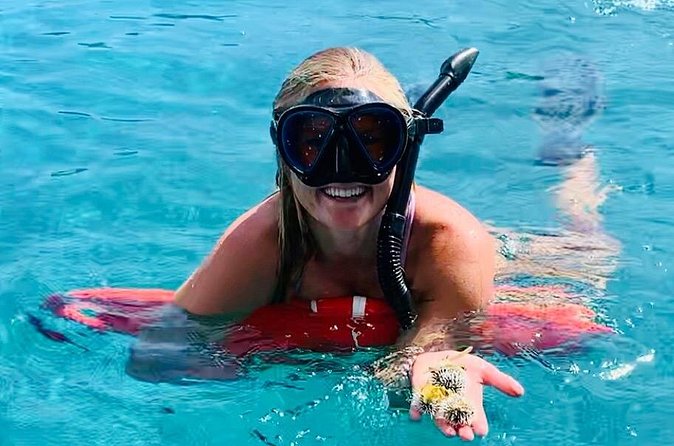 Half Day Luxury Catamaran Turtle Snorkel And Beach - Who this trip fits best (and who should think twice)