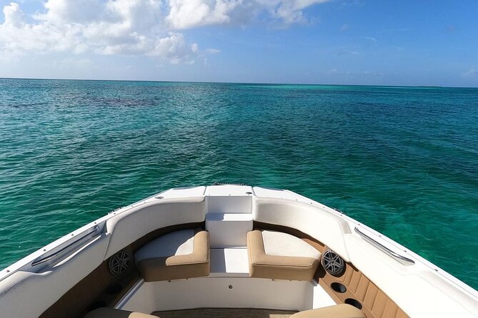 Half-Day Luxury Private Rose Island Pigs and Turtles Excursion - Sailing the Nassau waterfront: forts, the water tower, and Paradise Island views
