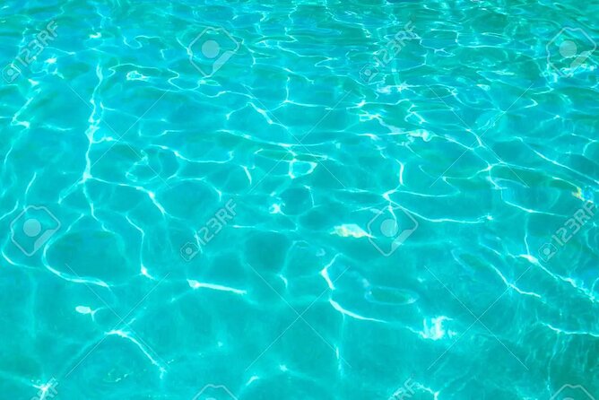 Half Day Luxury Sailing Experience in Riviera Maya with Open Bar - The Reef Snorkel Stop: Stingrays, Sea Life, and How the Two-Phase Swim Feels