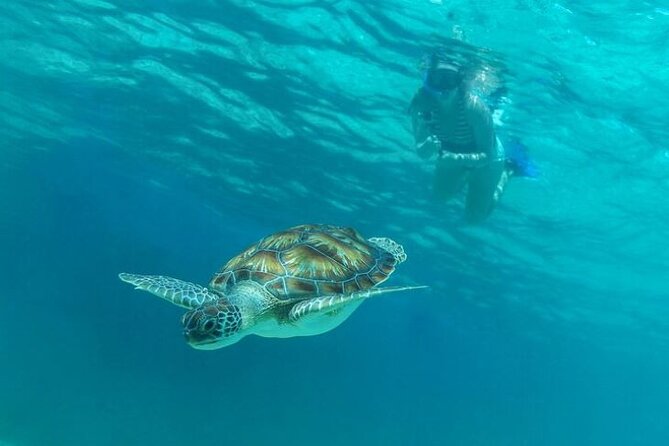 Half Day Luxury Sailing Experience in Riviera Maya with Open Bar - Paddle Boarding and Swimming: Your Flex Option Beyond Snorkeling
