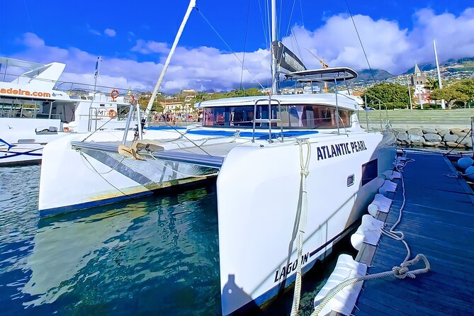 Half Day Tour on a Luxury Catamaran on Madeira Island - Madeira’s dolphin-and-whale waterline is the whole point