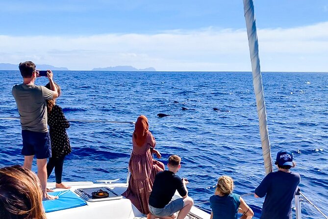 Half Day Tour on a Luxury Catamaran on Madeira Island - Onboard vibe, drinks, and whether you’ll get lots of narration