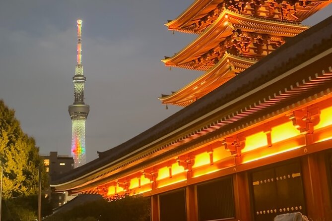 Haneda Airport Private Transfer – Luxury Car & Meet & Greet - Who This Private Transfer Is Best For