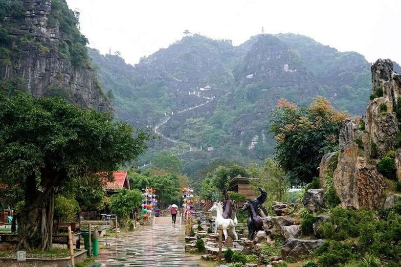 Hanoi: 3-Day Ninh Binh Trip and Ha Long Bay 5-Star Cruise - Day 3 morning choices on the bay: how to pick the right vibe