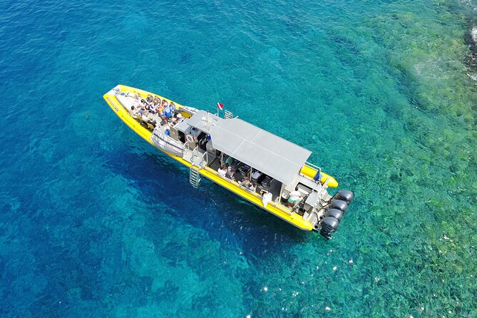 HIGH QUALITY Whale Watch Adventure Aboard Luxury Super Raft - Crew Power: Captain Spotting Plus Marine Naturalist Talk