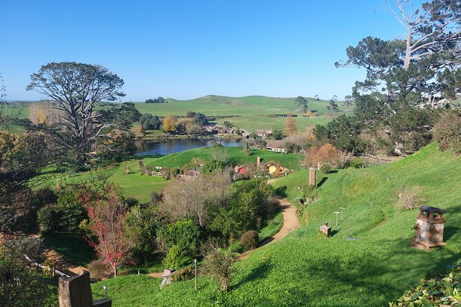 Hobbiton Afternoon Tour in Luxury Minibus from Auckland - The Luxury Mercedes Minibus: what included comfort really means