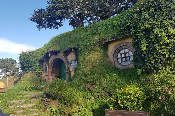 Hobbiton Afternoon Tour in Luxury Minibus from Auckland - The Waikato drive: where the stories and local context add real value