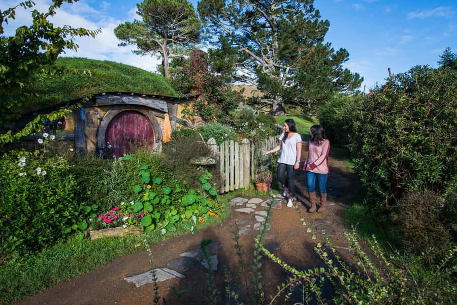 Hobbiton Movie Set & Rotorua Premium Day Tour from Auckland - Price and logistics: does $269 make sense for this itinerary?