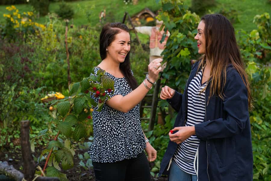 Hobbiton Movie Set & Rotorua Premium Day Tour from Auckland - Kiwi bird enclosure: the calm counterpoint to the steam