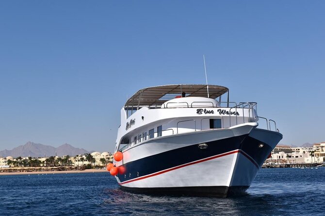 Hurghada: Luxury Cruise to Orange Bay & Hula Hula Island. - Dolphin House snorkeling: what the experience feels like